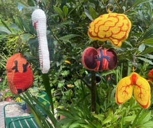 Untitled design - 2025-07-30T170458.380